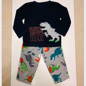 Fleece Dinosaur PJ Set